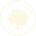 Alte Linde zur Steinernen Brücke